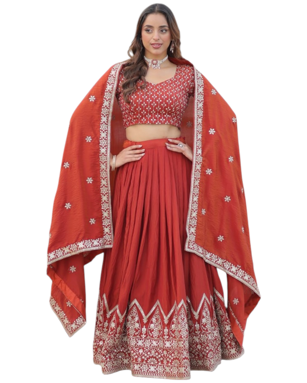 Beautiful Lehnga Choli